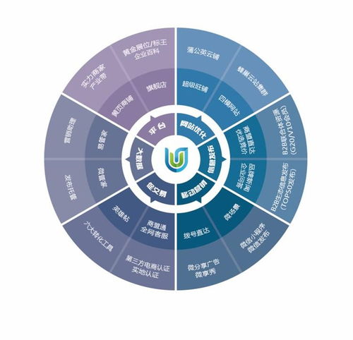 聊城互聯(lián)網(wǎng)營銷與軟件開發(fā) 融合發(fā)展路徑探析